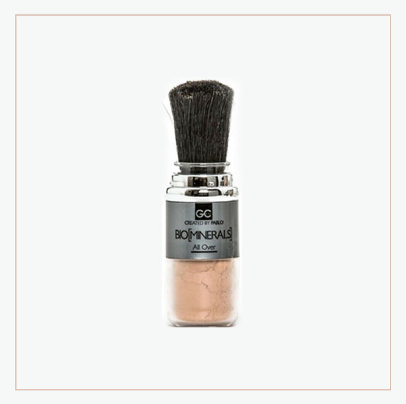 Fard in polvere - Bronze Matt Skin